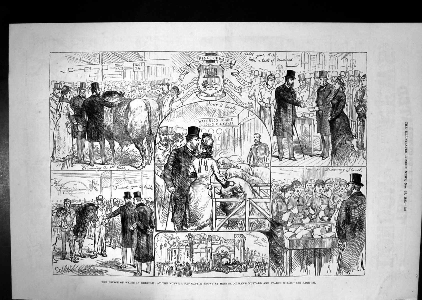 Old Print 1880 Prince Wales Norfolk Fat Cattle Show Colman Mustard Mills 19th
