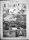Old 1882 Opening Norfolk Norwich Agricultural Hall Norwich Prince Wal Victorian