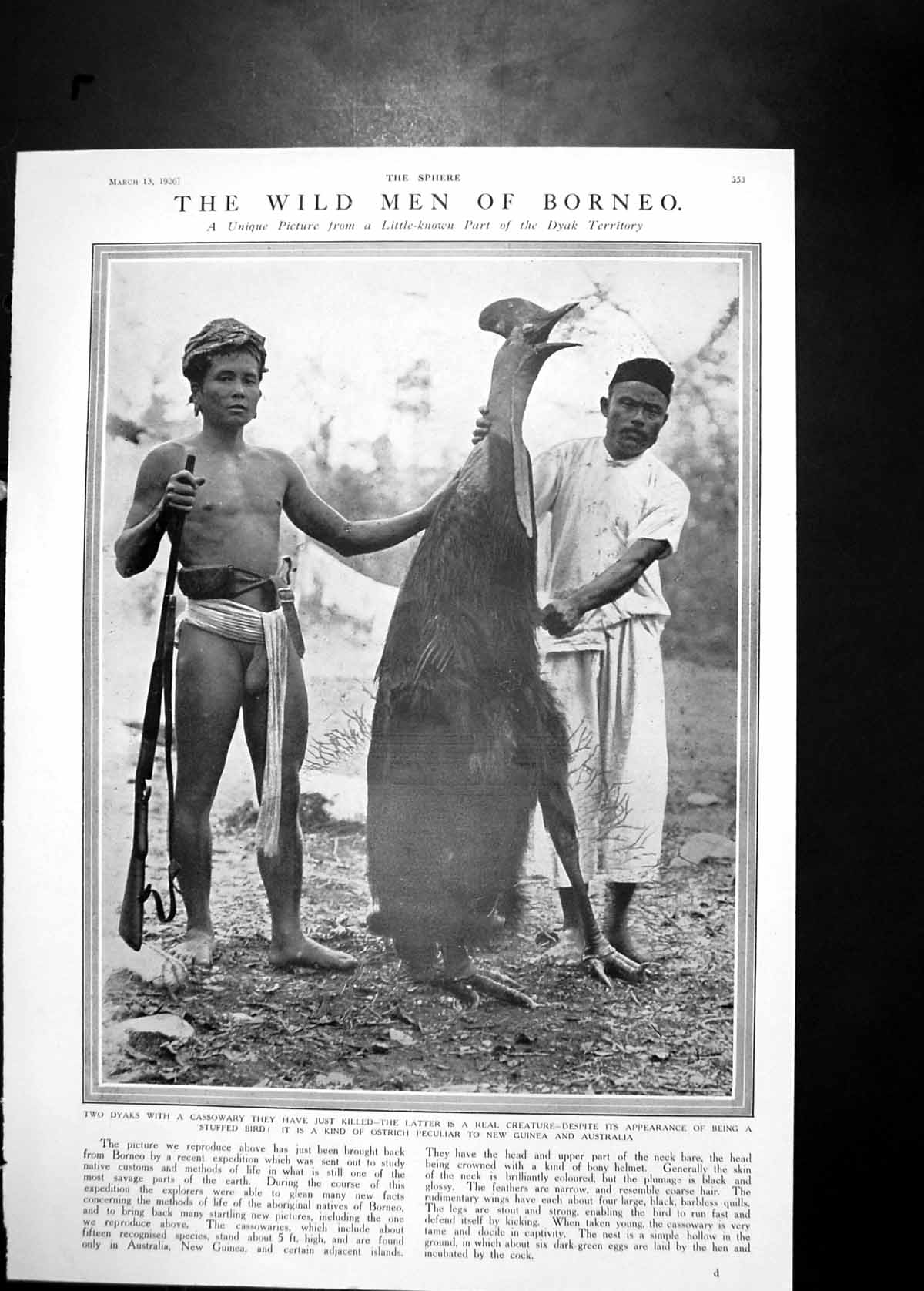 Antique Old Print 1926 Wild Men Borneo Dyak Cassowary Latter Bird Photograph