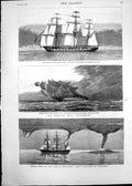 Old 1878 Channel Ships H.M.S. Eurydice Dunnose Africa Boxer Waterspou Victorian