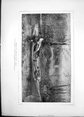 Antique Old Print 1872 Boat Drifting River American Autumn Effect Hennessy 19th