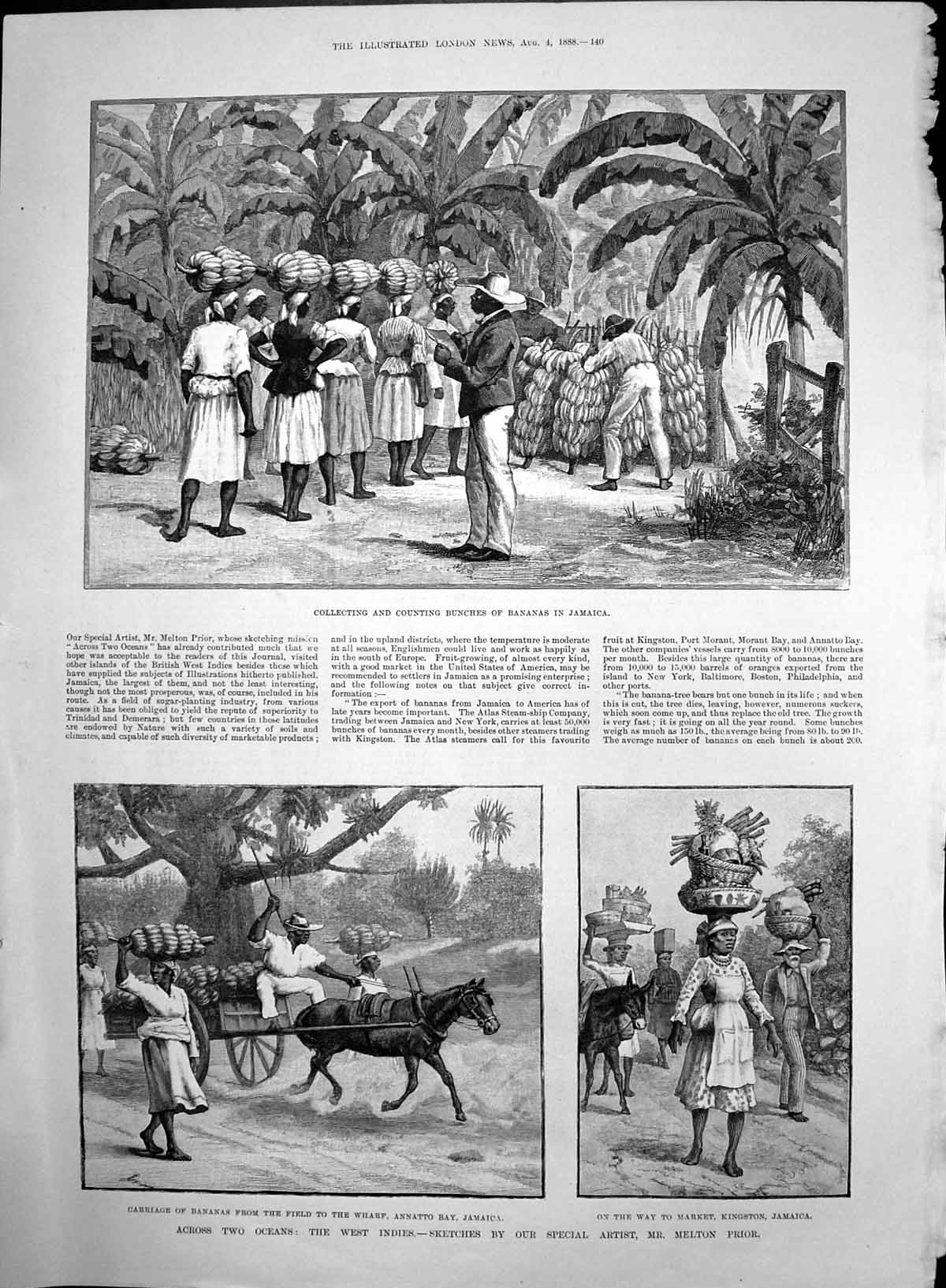 Old Antique Print Collecting Bananas Jamaica On Way Market Kingston 1888 19th