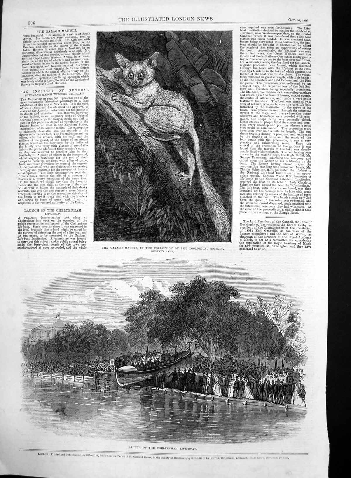 Original Old Antique Print Launch Cheltenham Life Boat Galago Maholi Zoo 1886