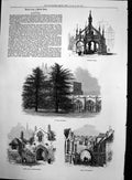 Old Antique Print Salisbury Market Cross Gate High Street Close Gate 1872 19th