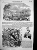 Antique Old Print Opening Bideford Extension Railway December Flowers 1855 19th