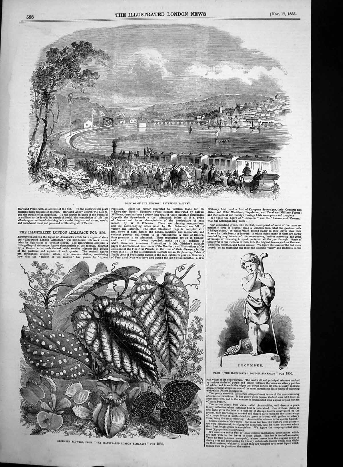 Antique Old Print Opening Bideford Extension Railway December Flowers 1855 19th