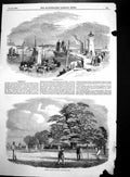 Original Old Antique Print Ramsgate Harbour Lighthouse Playing Cricket 1850