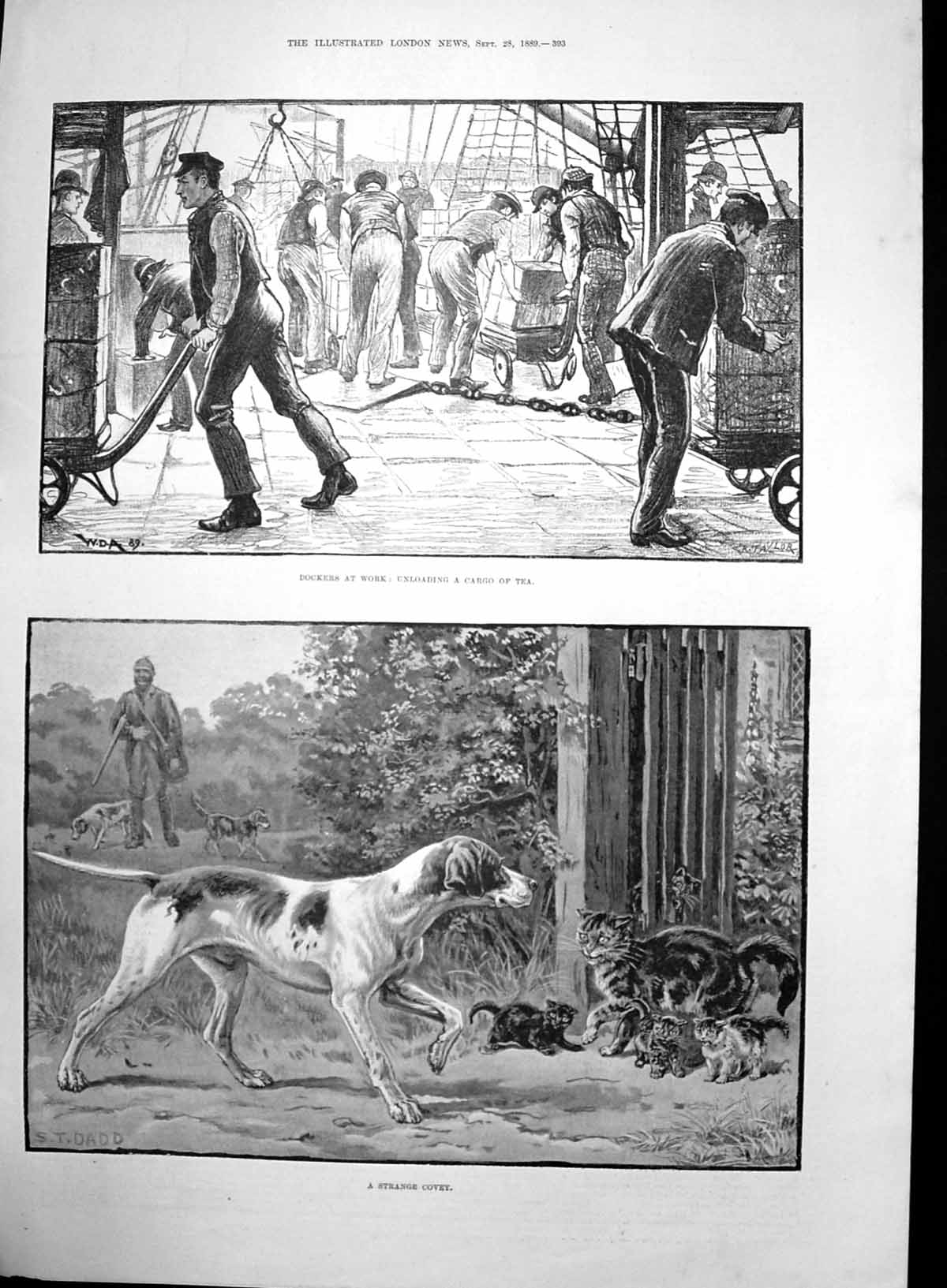 Antique Old Print Dockers Unloading Cargo Tea Hunting Dogs Cat Kittens 1889