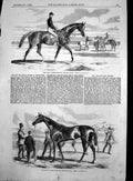 Original Old Antique Print Fitzroland Winner Two Thousand Stakes Governess 1858