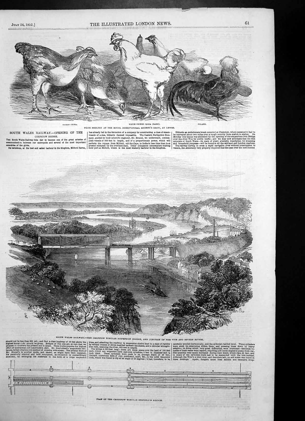 Antique Old Print Plan Chepstow Tubular Suspension Bridge Poultry Show 1852