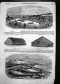 Old Print West Street D'Urban Officers Barracks Whales Solway Firth 1855 19th