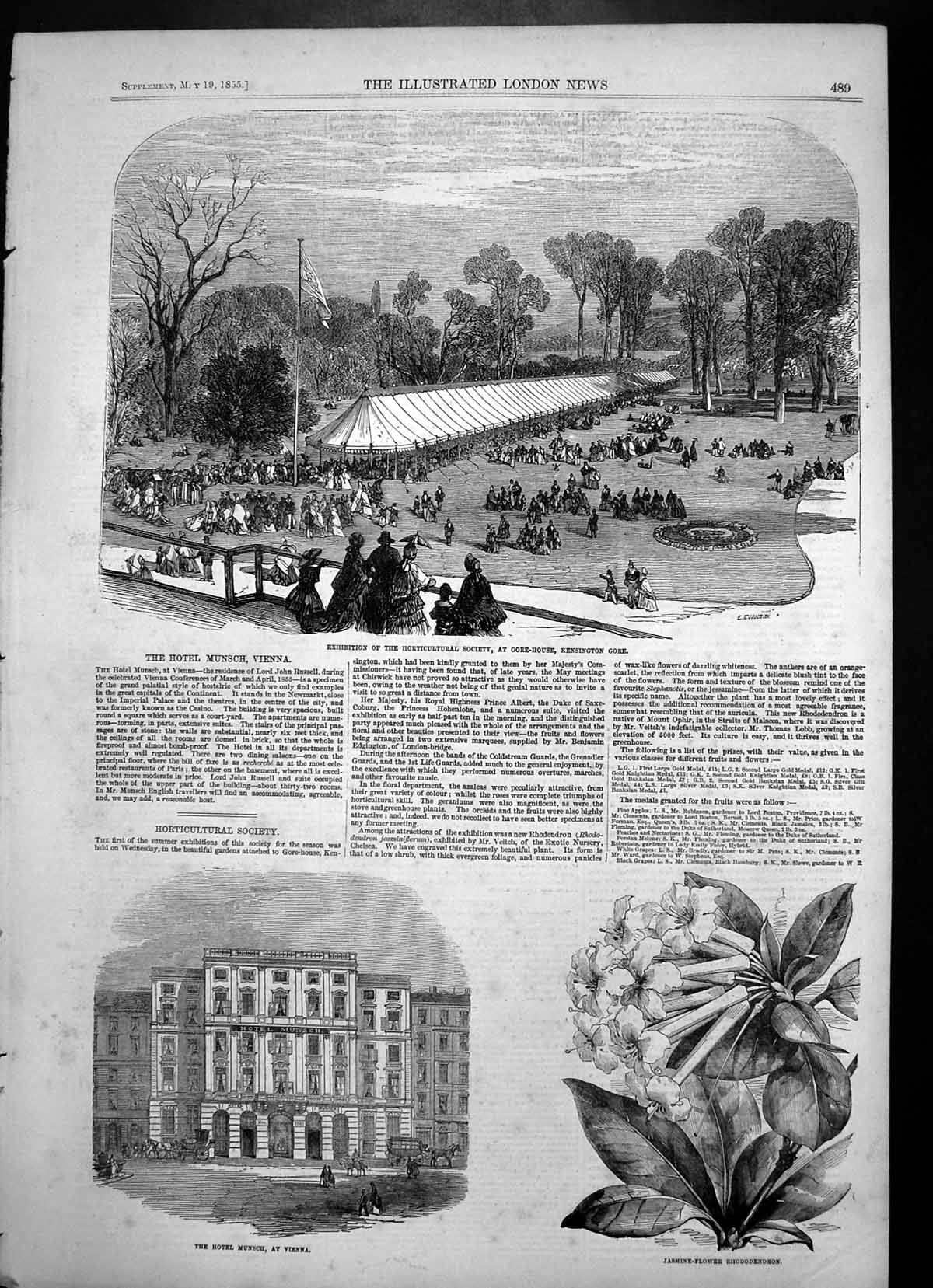 Antique Old Print Hotel Munsch Vienna Horticultural Soc Kensington Gore 1855