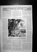 Antique Old Print Survivors British Destroyer Land Enemy Occupied Malaya 1942