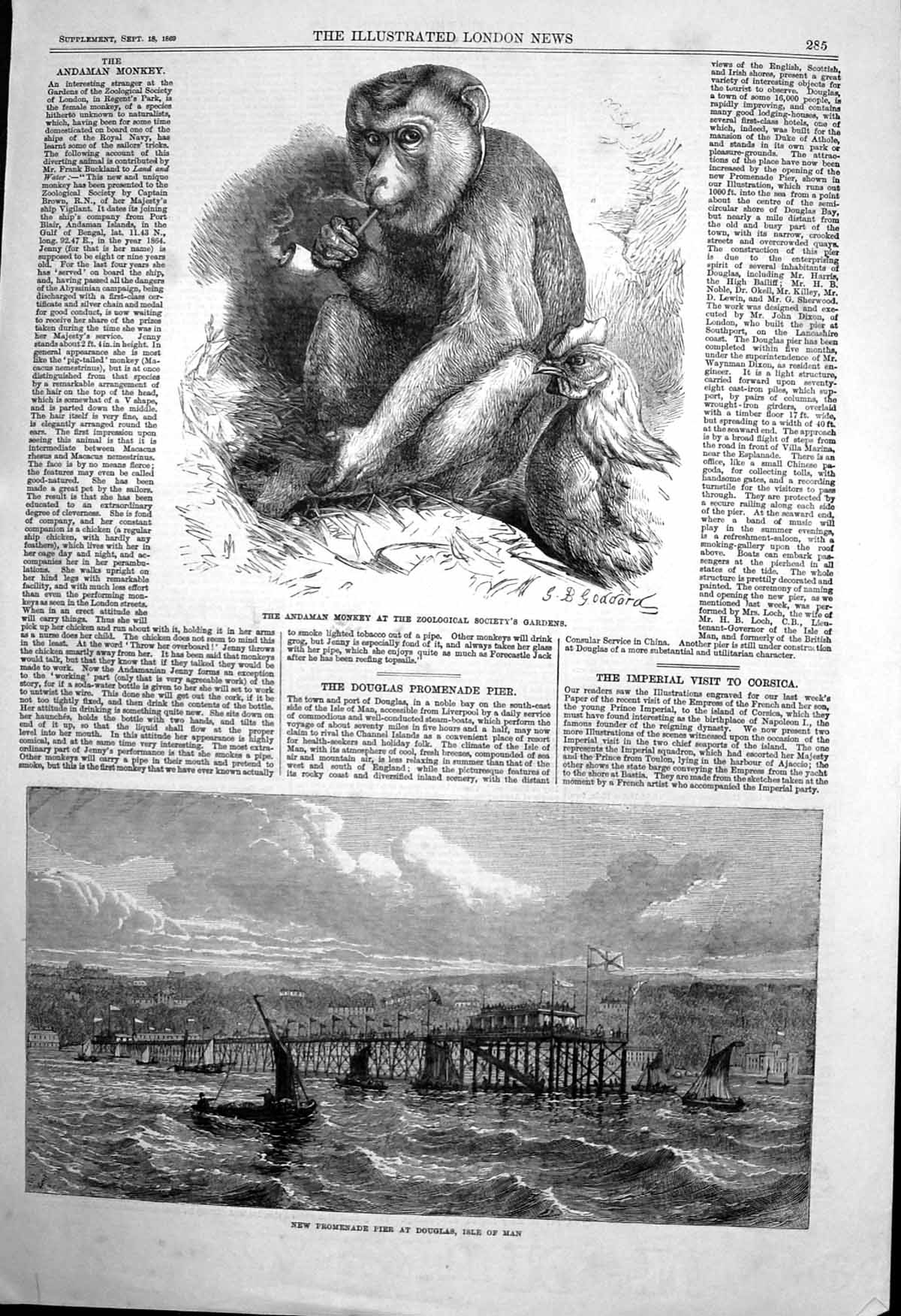 Antique Old Print Andaman Monkey Zoo New Promenade Pier Douglas Isle Man 1869