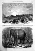 Antique Old Print Guebers India Worshipping Sun Elephant Children India 1863
