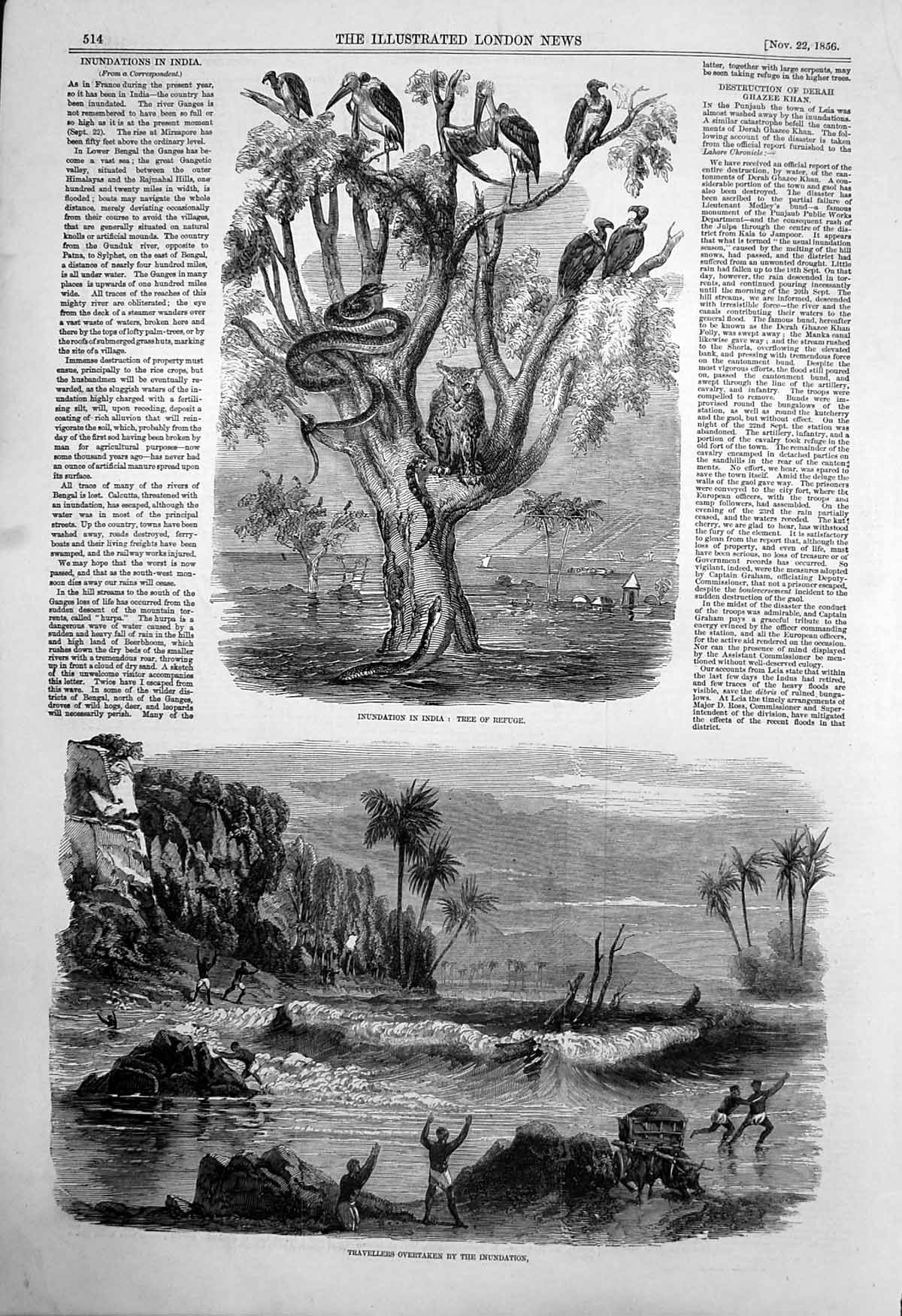 Old Print Inundation India Tree Refuge Animals Travellers Overtaken 1856 19th