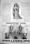 Original Old Antique Print Brocade Dinner Dress Presentation Plate Gsmiths 1905