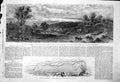 Antique Print Zostera Marina Harben Gulf Hauraki Firth Tamaki Auckland 1862