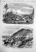 Antique Print Bush Life Queensland Running In Horses Mustering Cattle 1863 19th