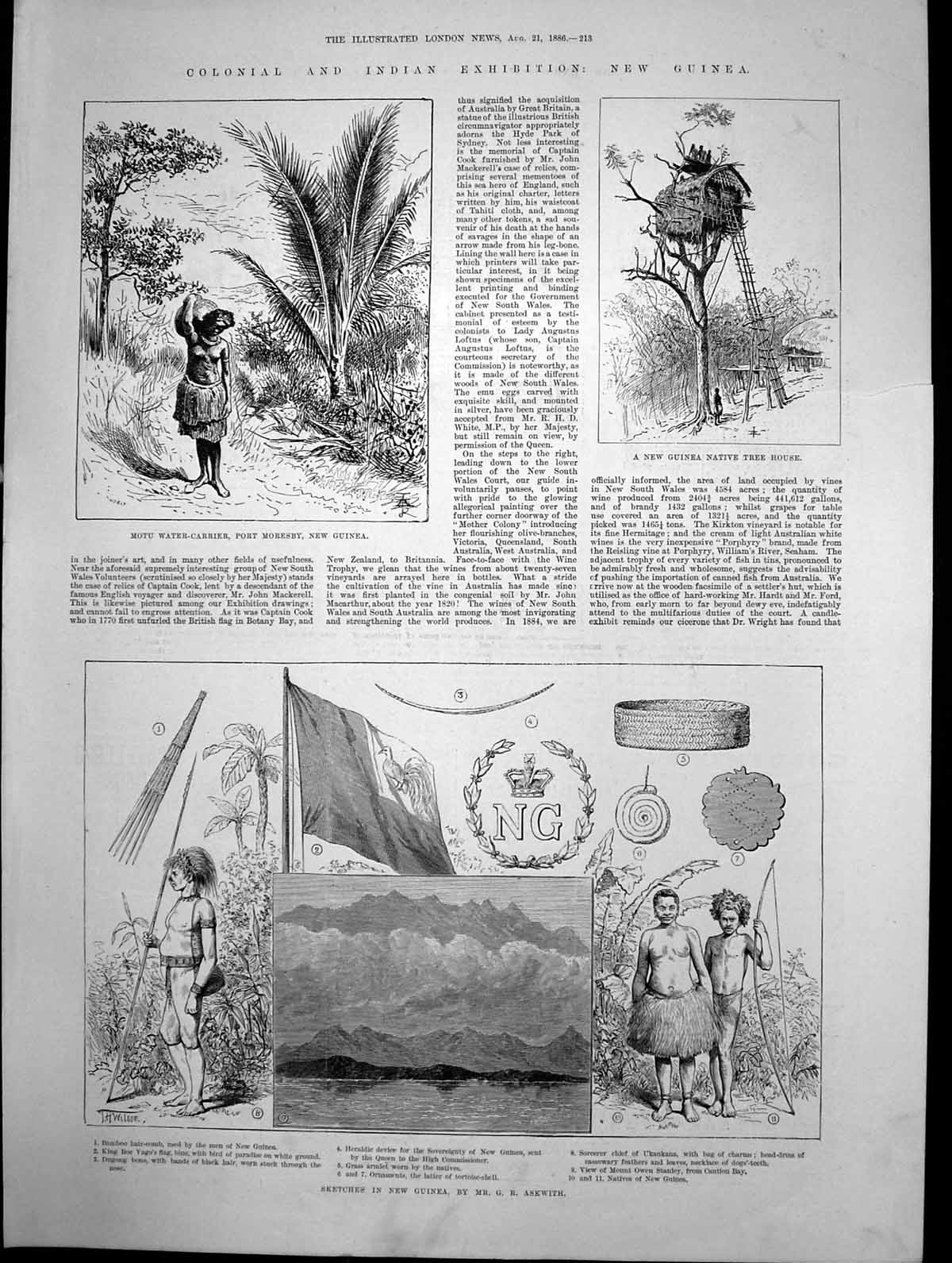 Antique Print Colonial Indian Exhibition New Guinea Native Tree House 1886 19th