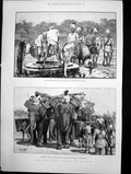 Old Print Military Police Burmah Guarding Prisoners Baggage Animals 1890 19th