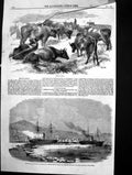 Old Print Breton Cattle Ice Halifax Harbour Mail Vessels Nova Scotia 1859 19th