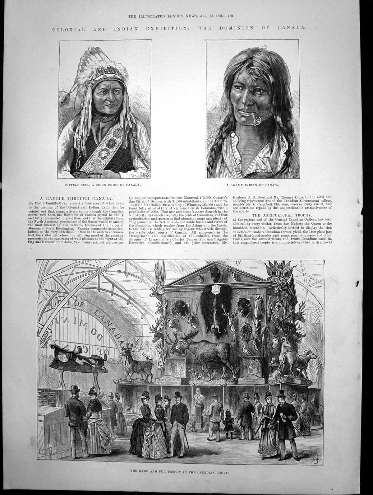 Old Antique Print Game Fur Trophy Canadian Court Swamp Indian Canada 1886 19th