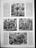 Old Print Colonial Exhibition Barbados Jamaica St Vincent Sugar Cane 1886 19th