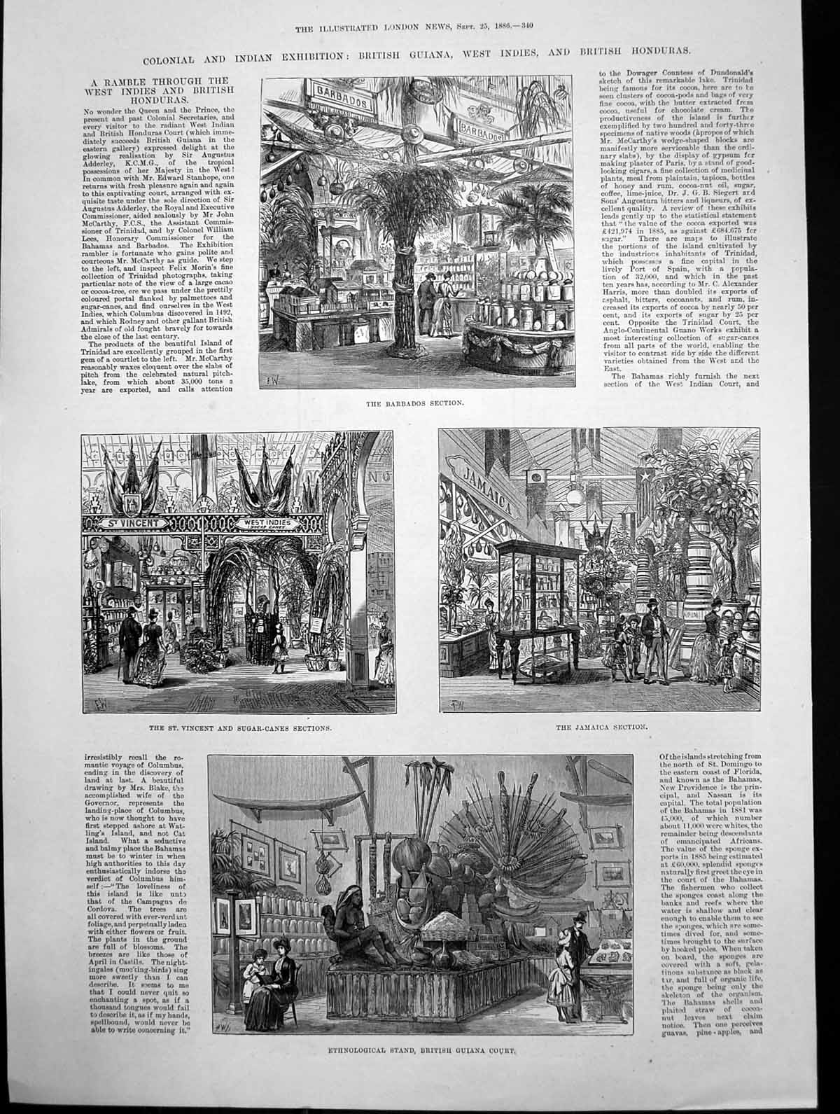 Old Print Colonial Exhibition Barbados Jamaica St Vincent Sugar Cane 1886 19th