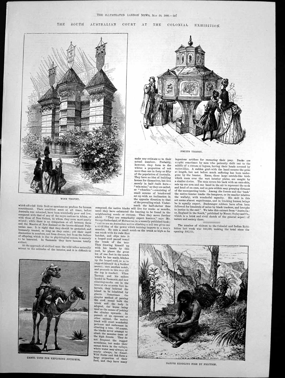 Old Print Australia Wine Fruits Trophies Camel Native Kindling Fire 1886 19th