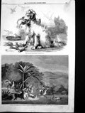 Antique Old Print Folly Little Friends Hunting Wild Horses South America 1860