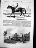 Antique Print Chateau Eleanora Louisa Cannes Vengeance Cesarwitch Stake1856