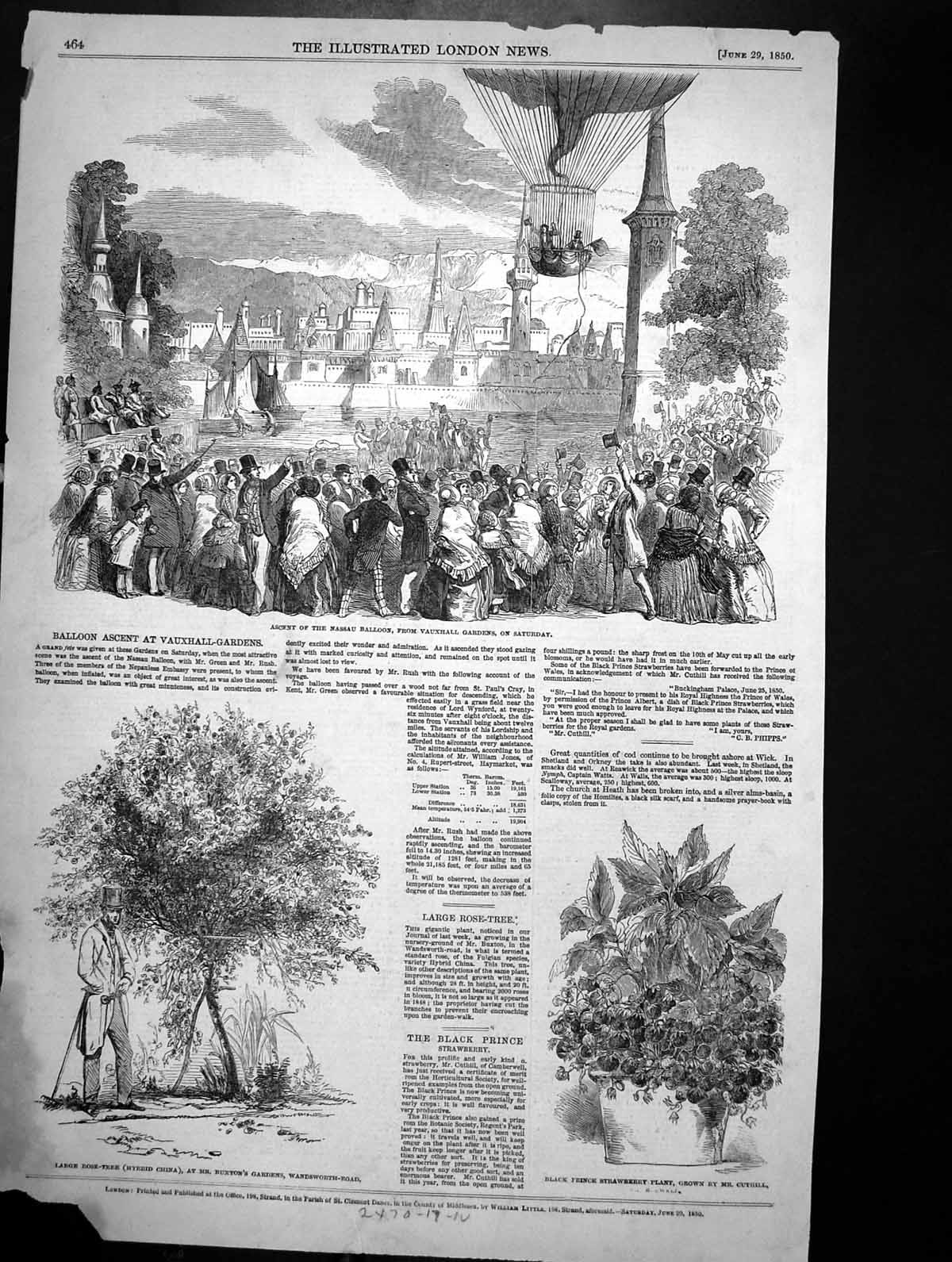 Antique Print Nassau Balloon Ascent Vauxhall Gardens Rose Tree Buxton 1850 19th