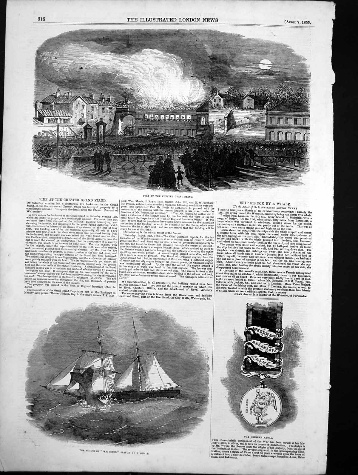 Antique Print Fire Chester Grand Stand Schooner Waterloo Struck Whale 1855 19th