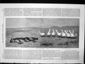 Antique Old Print Game Fox Geese B Riviere Fox Lying Down Geese Nearbye 1870