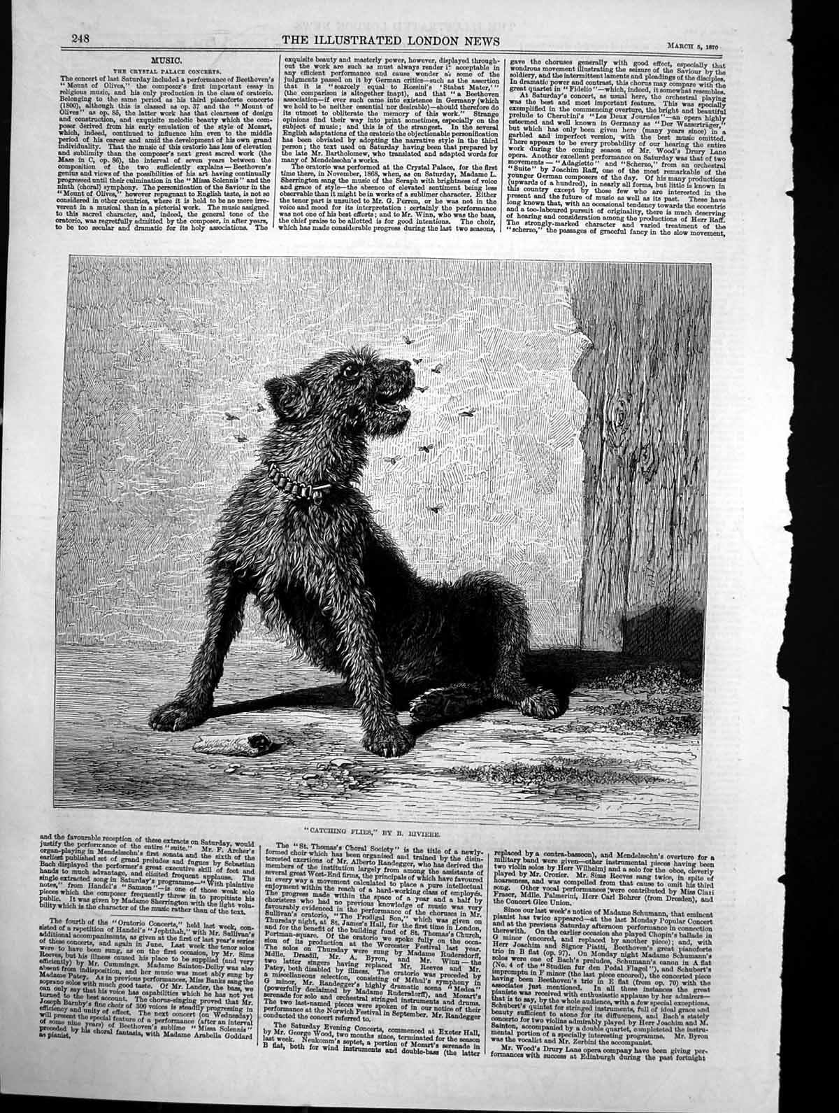 Original Old Antique Print Catching Flies B Riviere Thin Dog Ragged Coat 1870