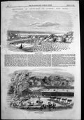 Antique Old Print Cultivation Arrow-Root D'Urban Port Natal Laboratory 1858
