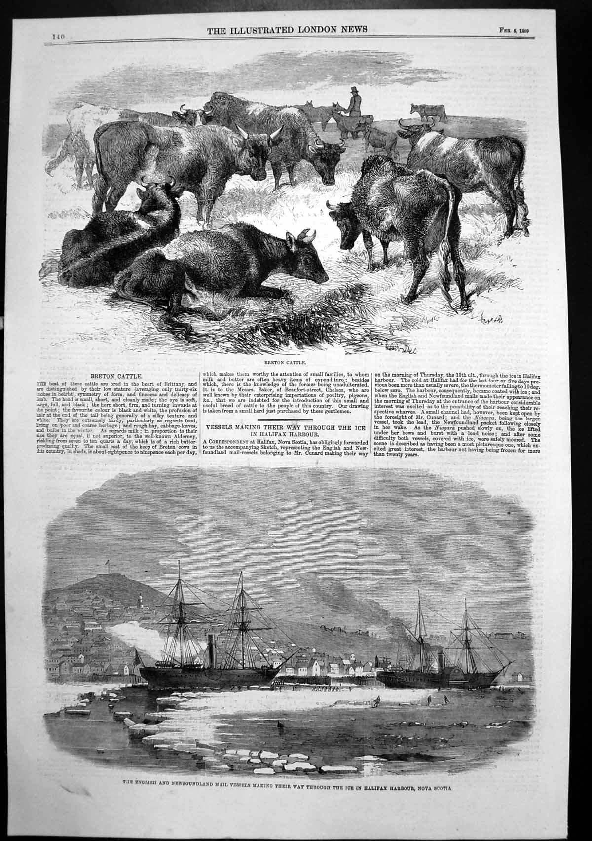 Old Print Breton Cattle Mail Vessels Ice Halifax Harbour Nova Scotia 1859 19th
