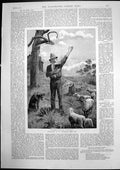 Old Antique Print Shakspeare Australian Sheep Run Man Reading Poetry 1891 19th