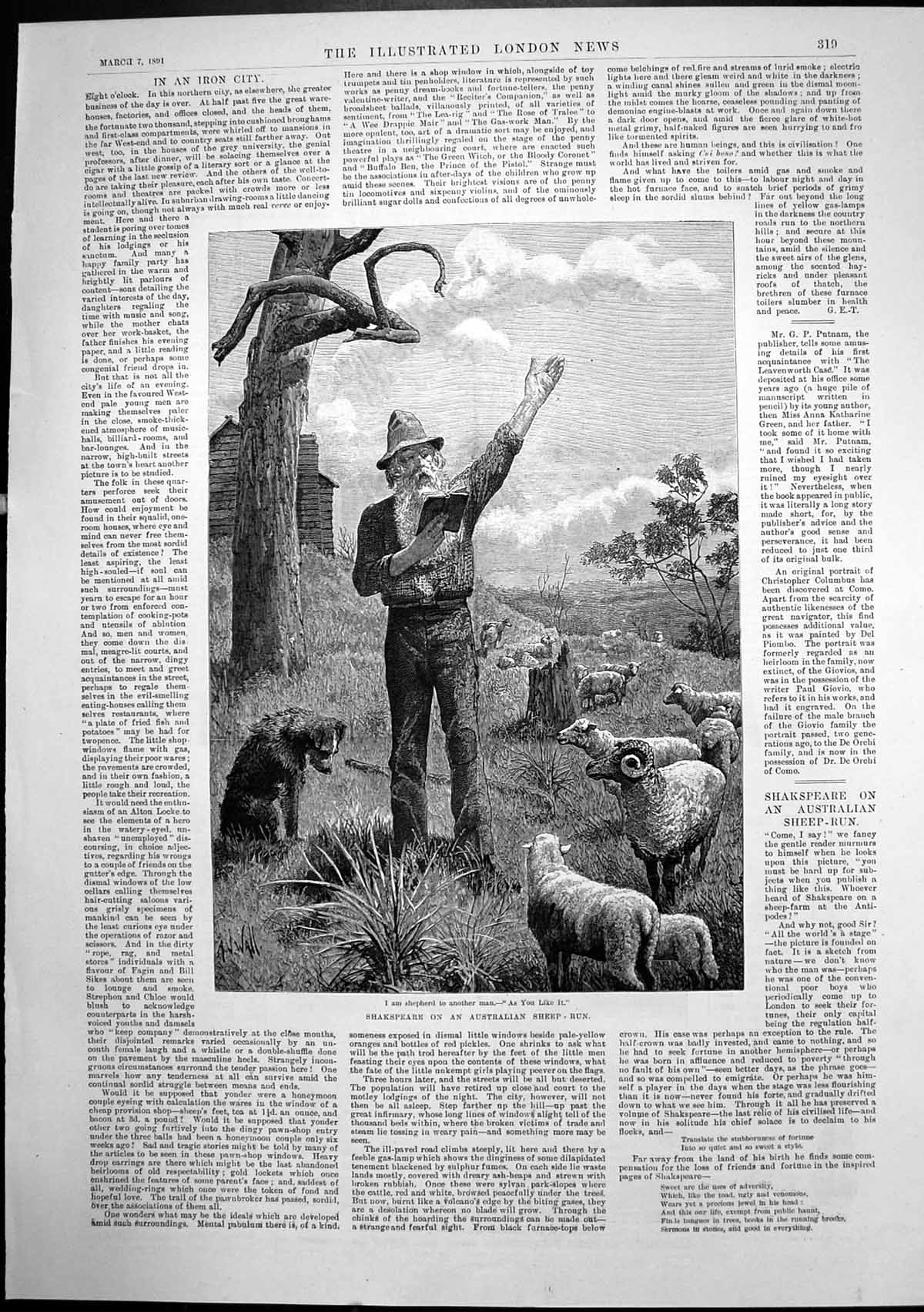 Old Antique Print Shakspeare Australian Sheep Run Man Reading Poetry 1891 19th