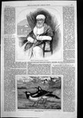 Antique Old Print Dossabhoy Sorabjee Moonshee Bombay Maagpie Larks Zoo 1863
