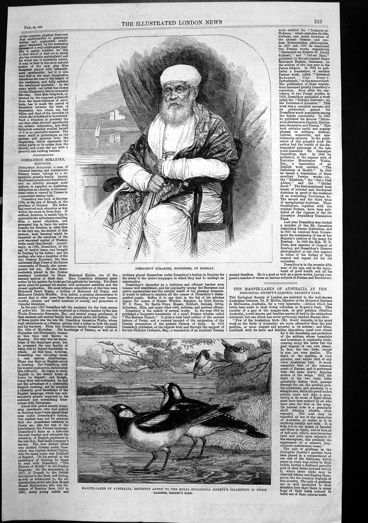 Antique Old Print Dossabhoy Sorabjee Moonshee Bombay Maagpie Larks Zoo 1863