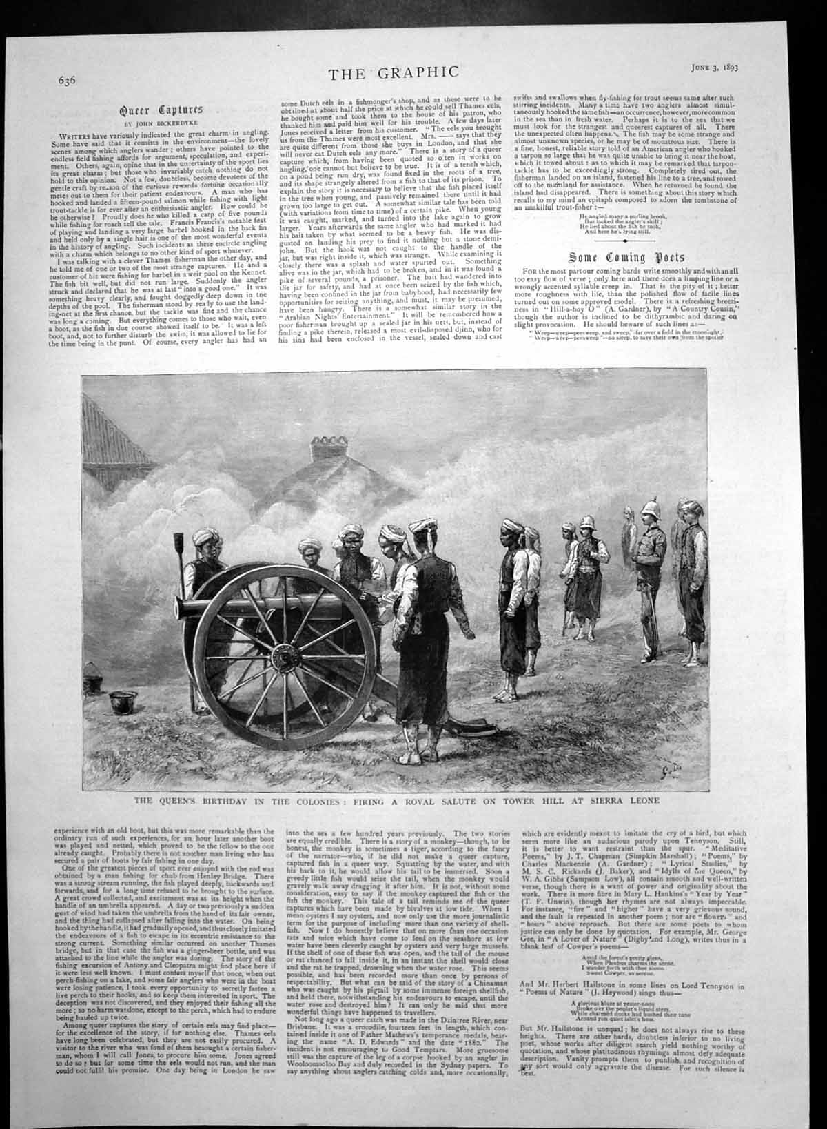Original Old Antique Print Queens Birthday Salute Tower Hill Sierra Leone 1893