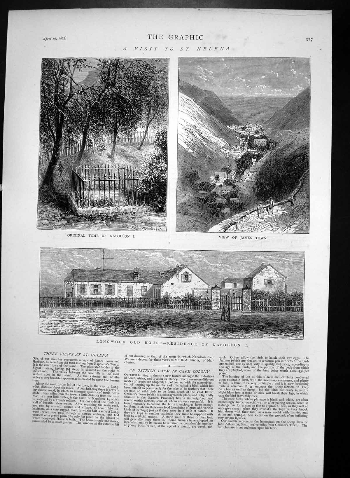 Antique Old Print NapoleanTomb Longwood House James Town St Helena 1873