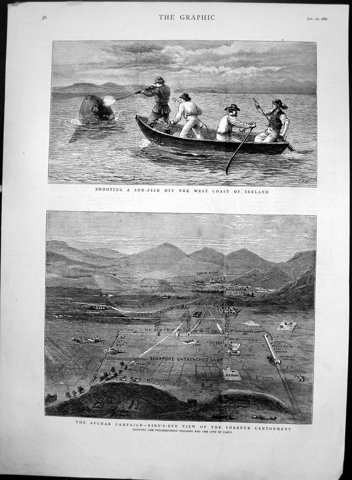 Antique Old Print Birds Eye View Sherpur Cantonment Shooting Sun Fish 1880 19th