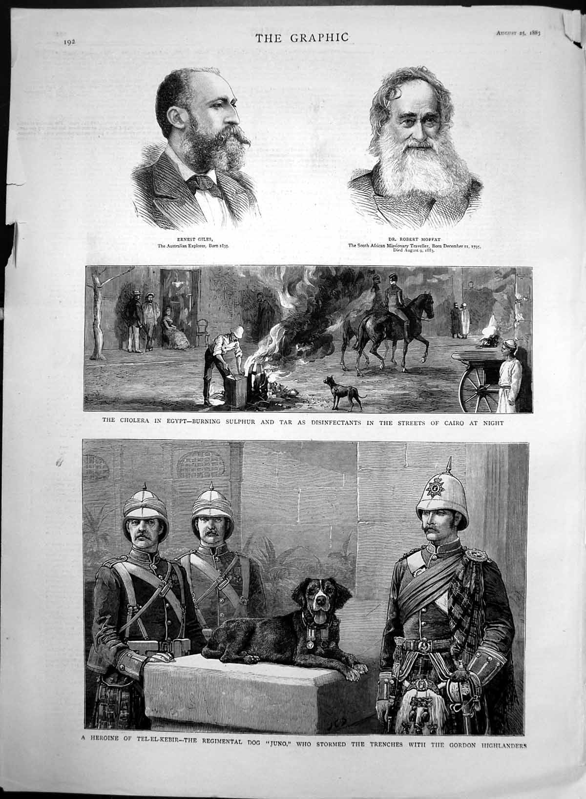 Original Old Antique Print Cholera In Egypt Gordon Highlanders Dog Juno 1883