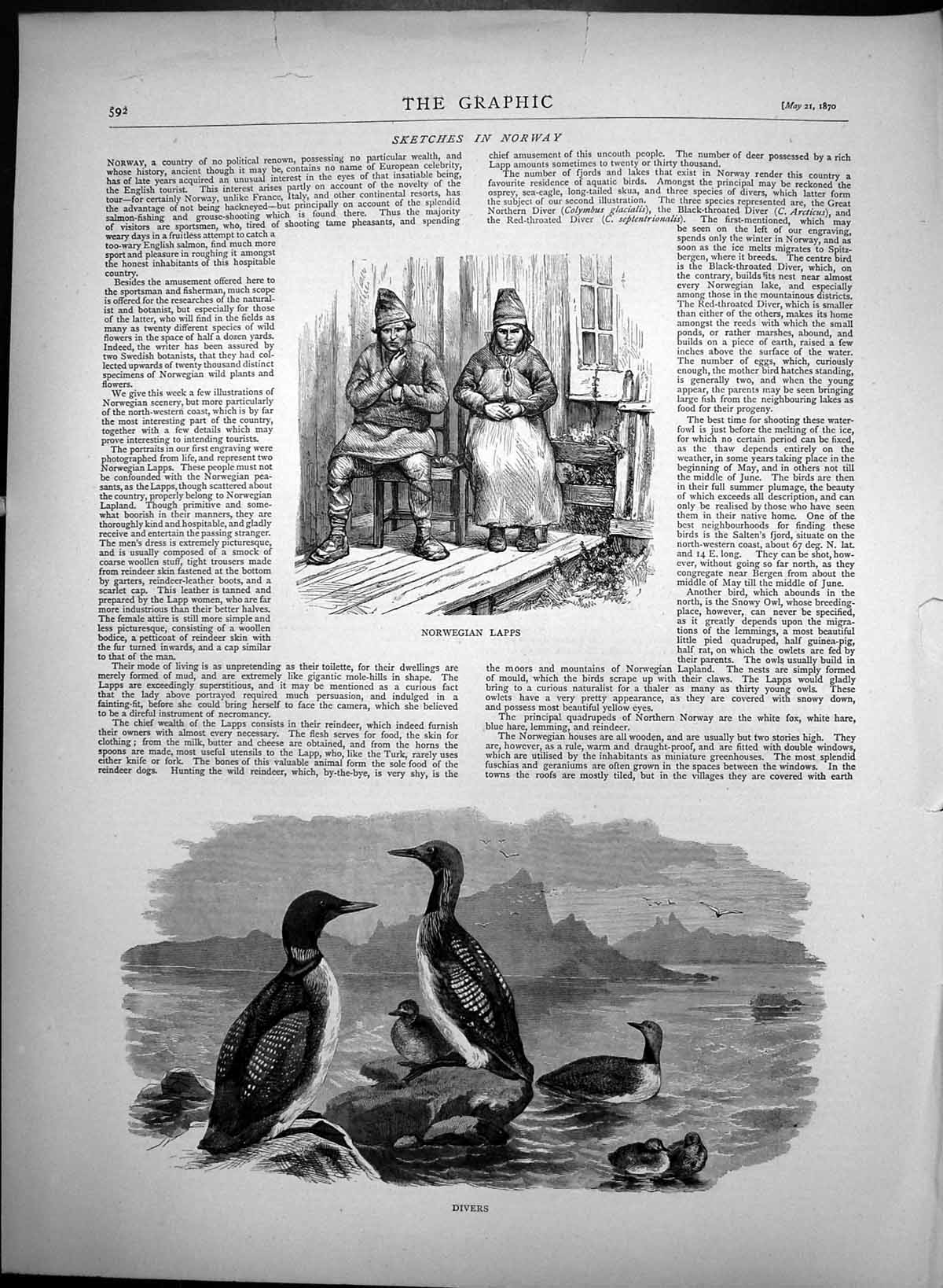 Antique Old Print Norwegian Lapps Diver Birds Blackthroated Red Throat 1870