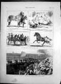 Old Antique Print Horse Show Alexandra Park Siege Operations Chatham 1873 19th