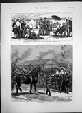 Old Antique Print Bedford Show Horse Parade Shooting Wimbledon Camp 1874 19th