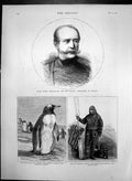 Antique Old Print Pierre Schouvaloff Russian Ambassador Falkland Penquin 1874